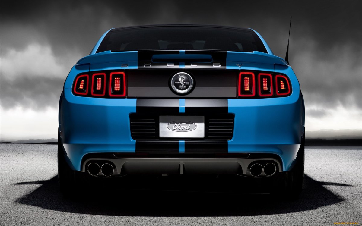 Ford Shelby gt500 сзади