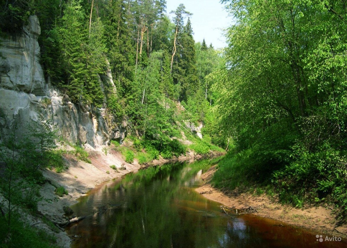 Каньон реки ящера Лужский район