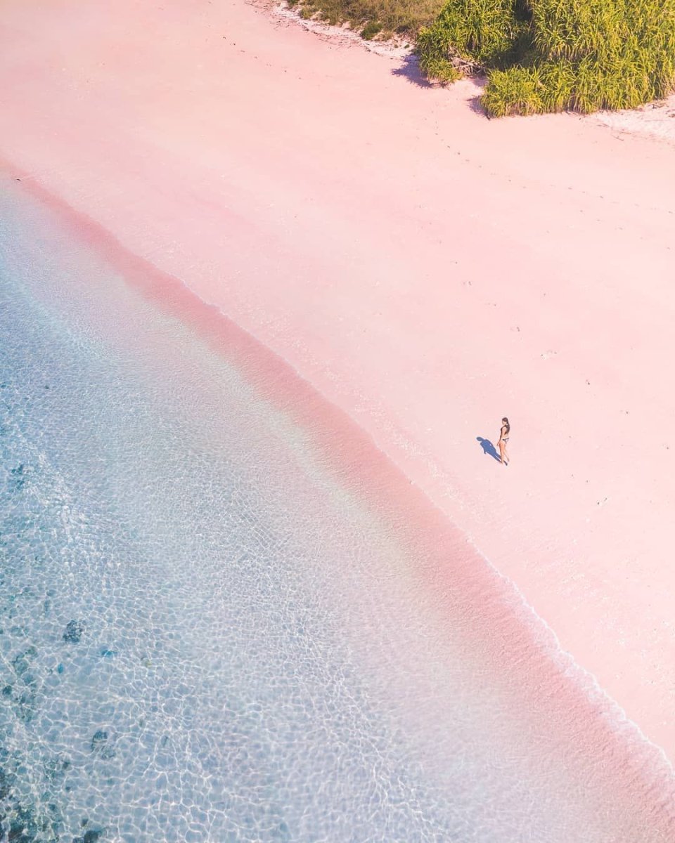 Комодо розовый пляж