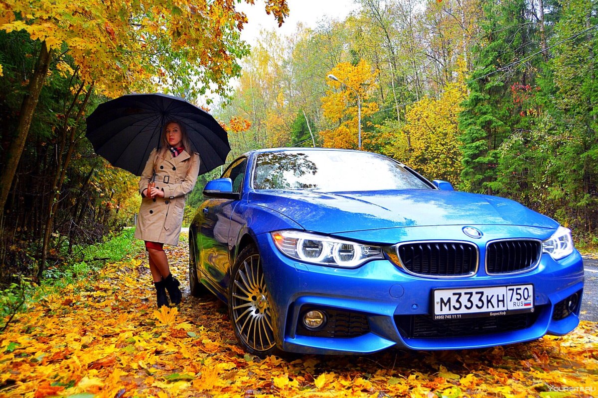 BMW В листьях