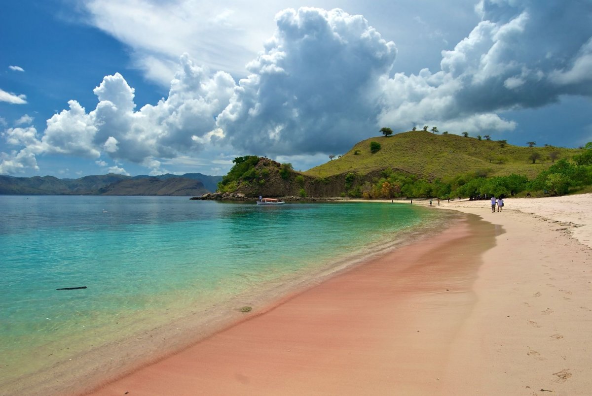Розовый песок остров Комодо Индонезия