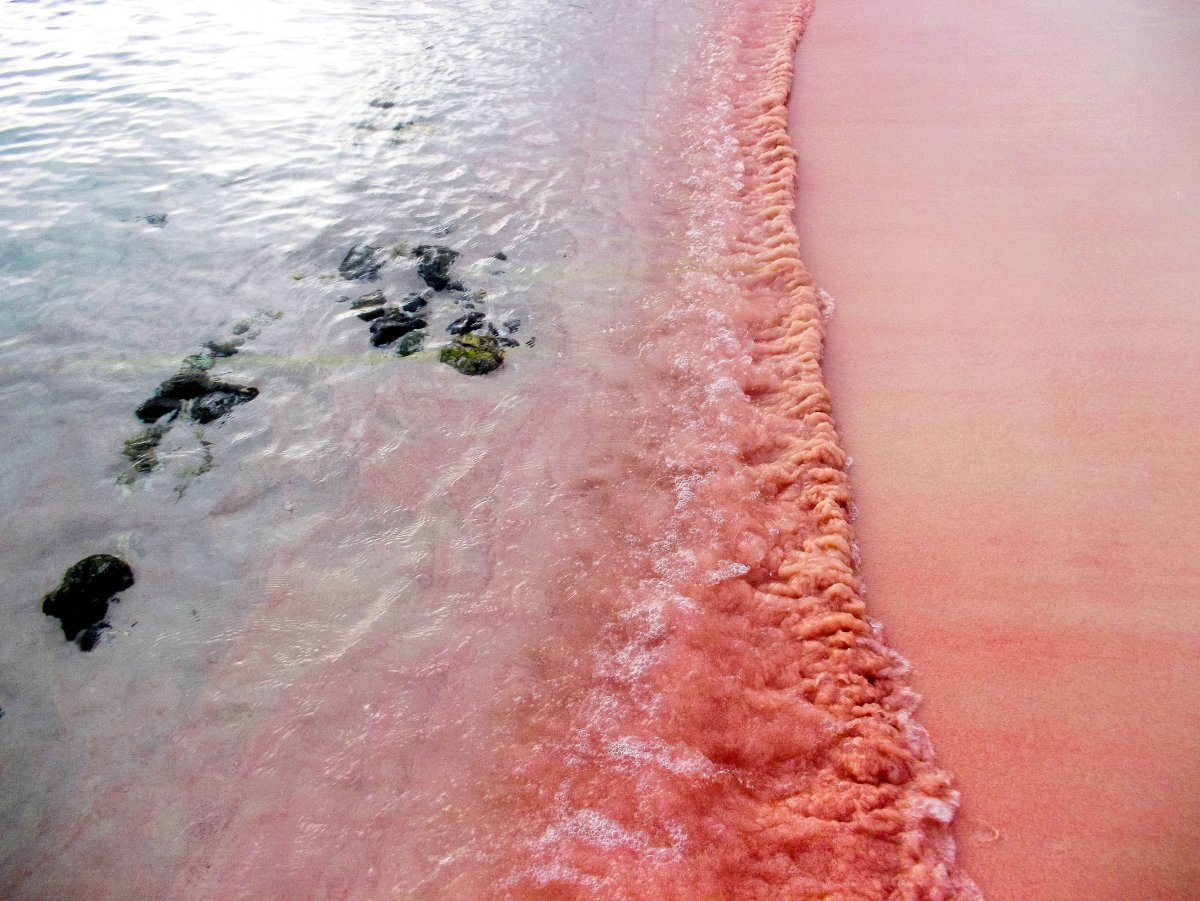 Комодо розовый пляж