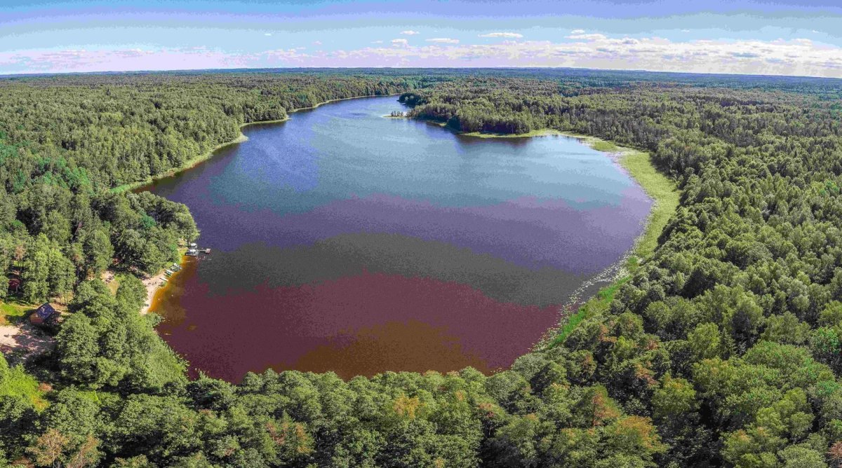 Озеро Мариново Калининградская область