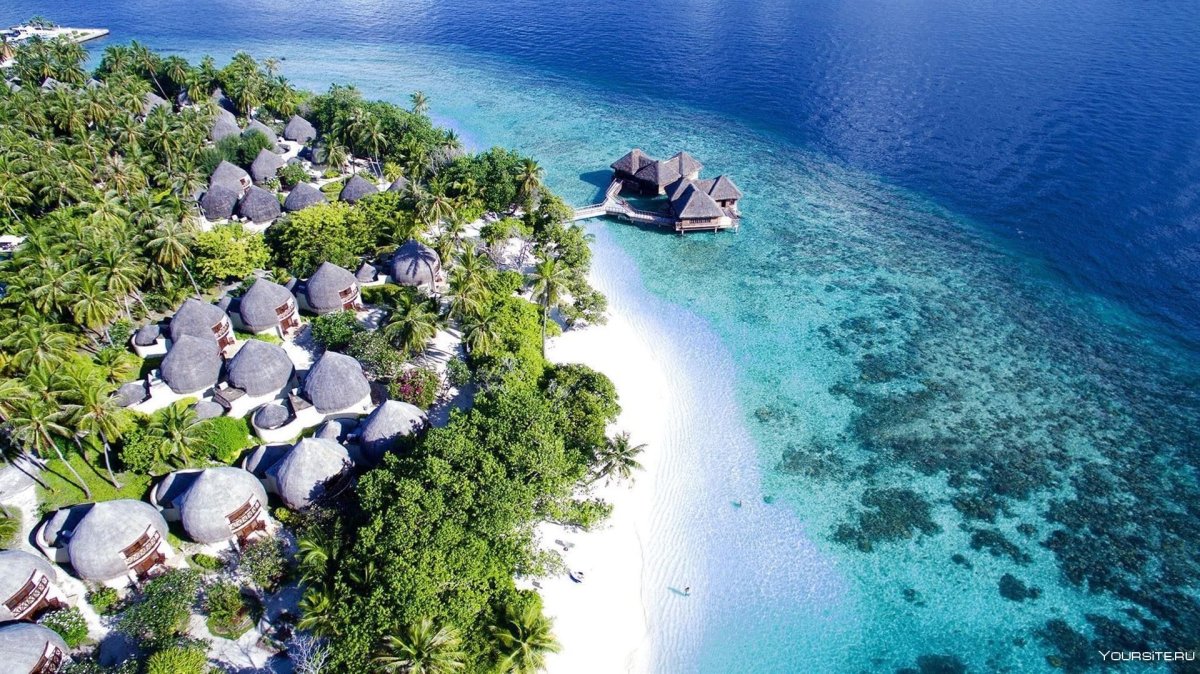 Bandos Island Resort 4 Мальдивы