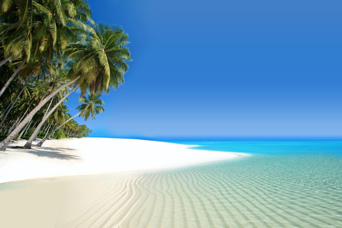 Пляж белый песок пальмы