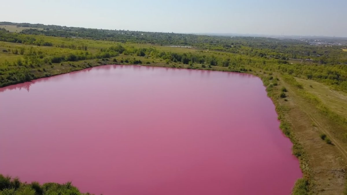 Розовое озеро в Самарской области Кинельский район