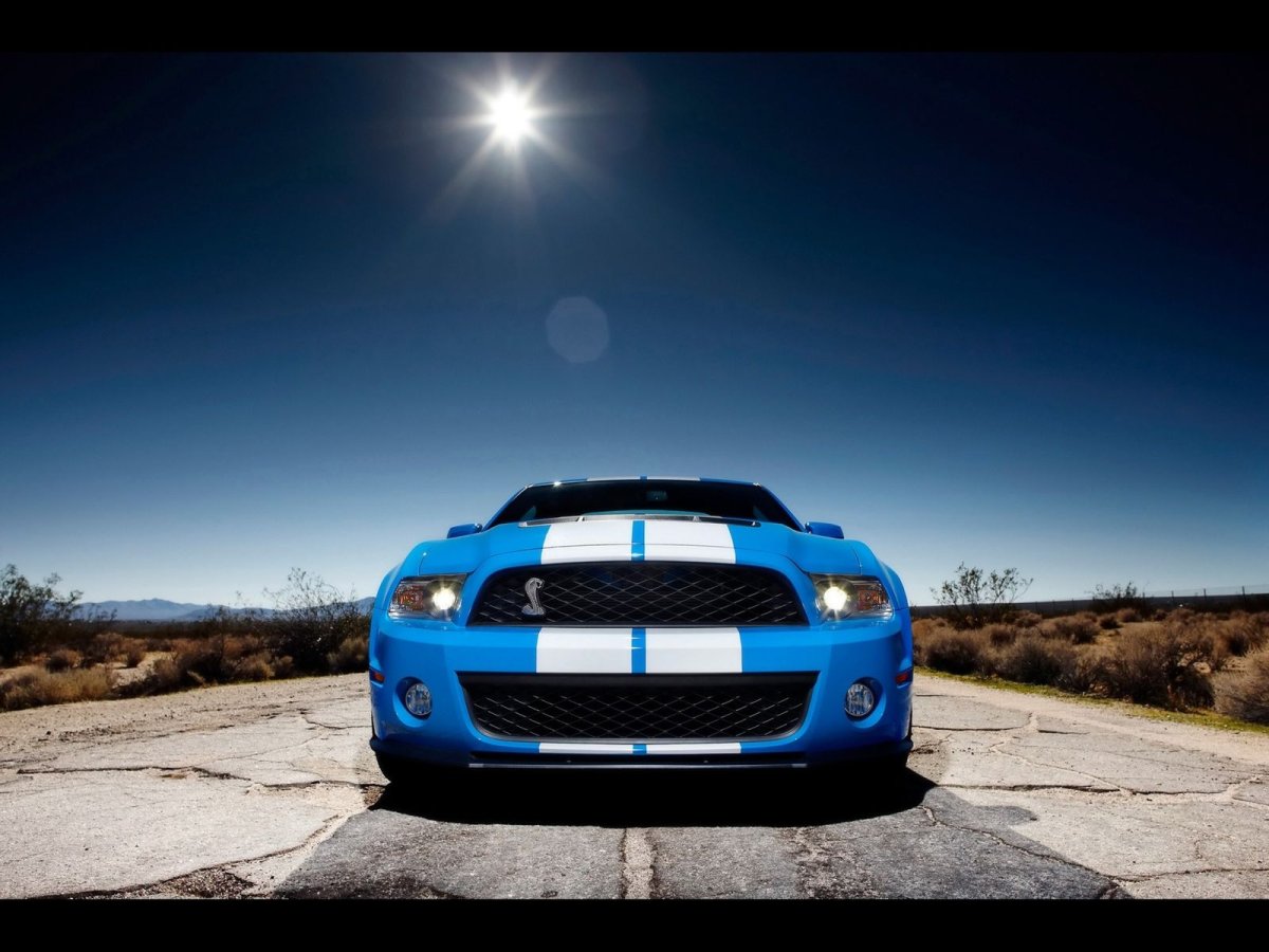 Ford Shelby Cobra gt500