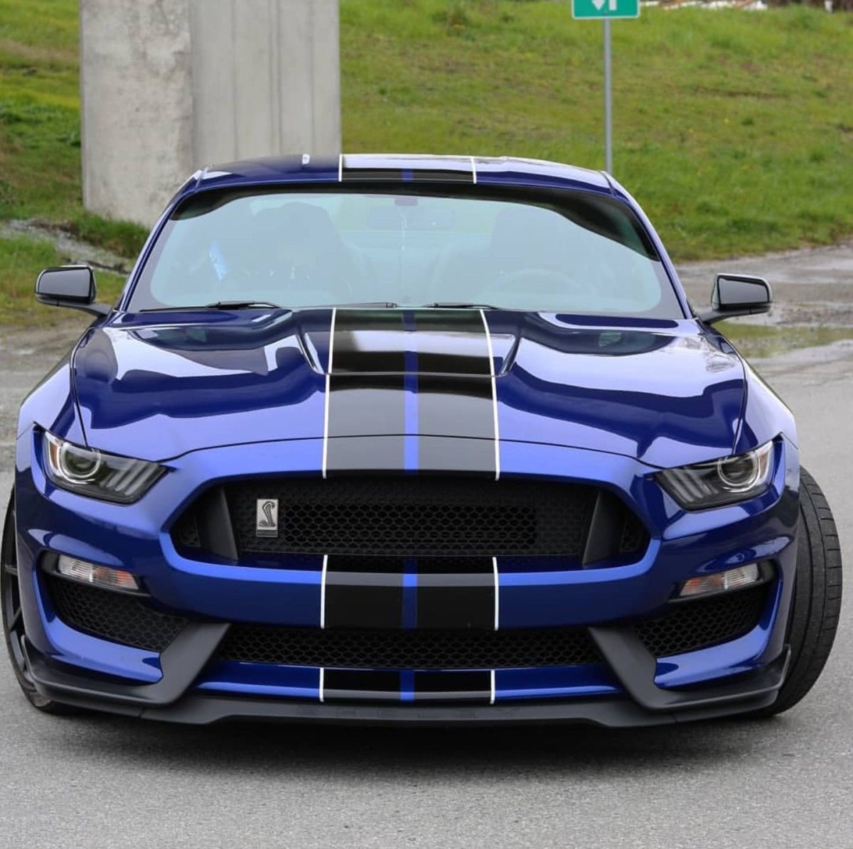 Форд Мустанг gt 350