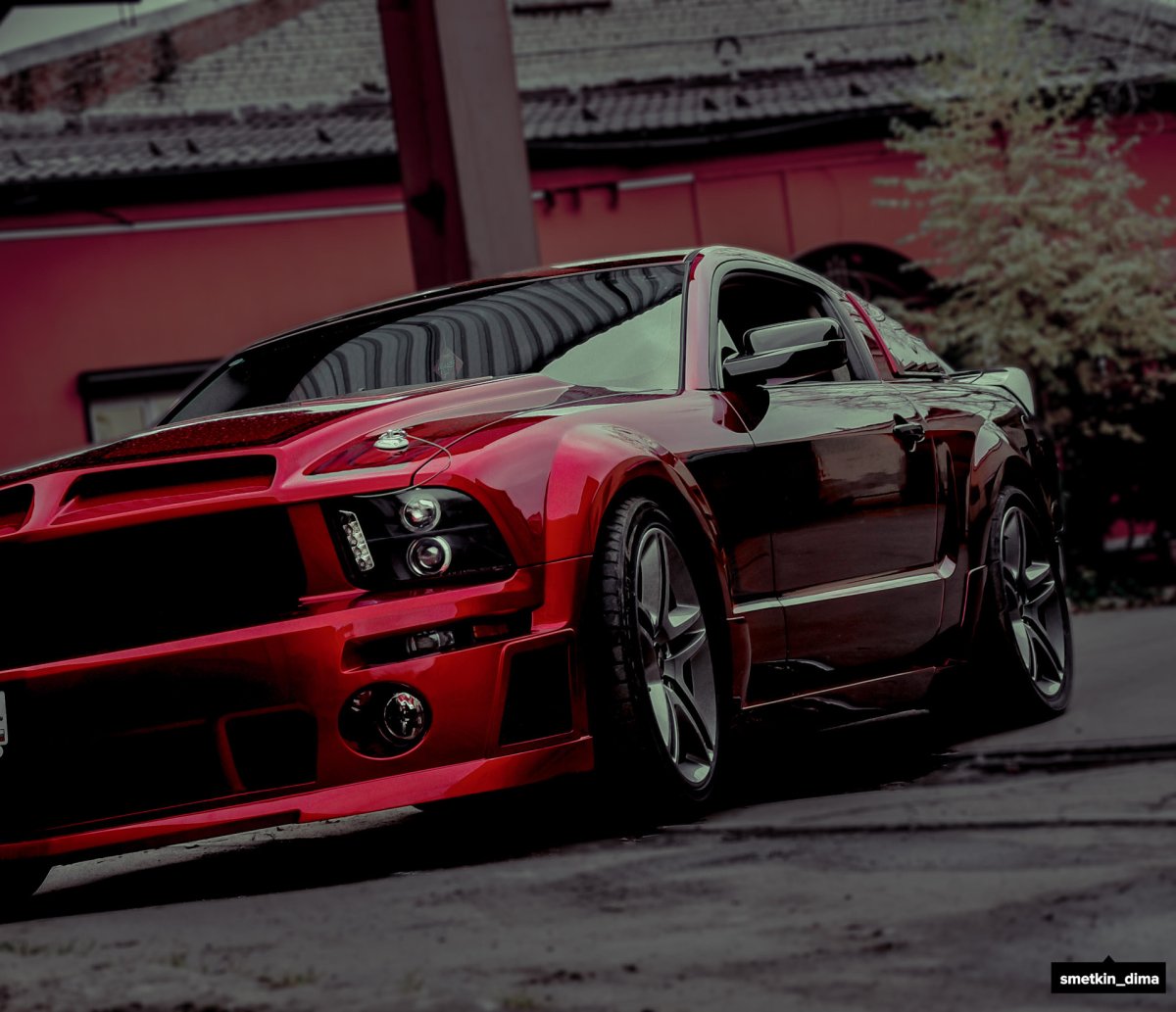 Shelby Mustang 2005