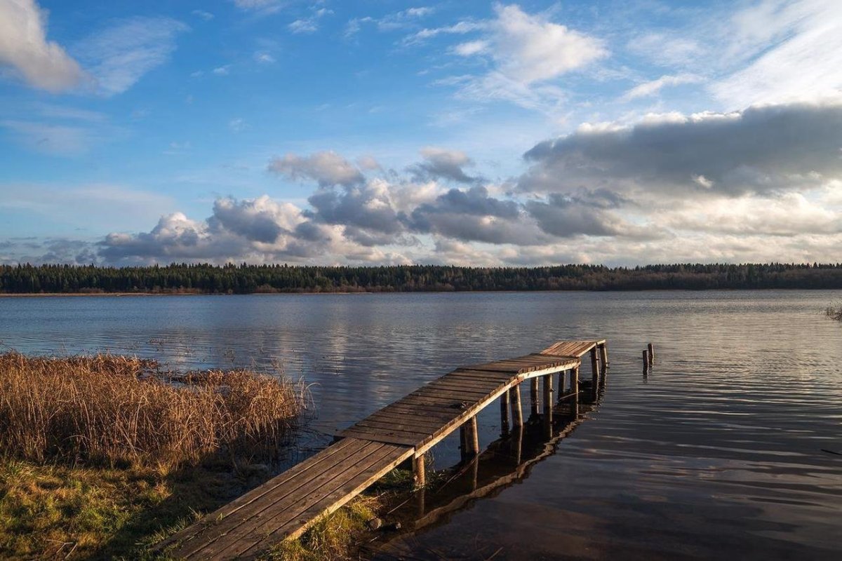 Орлинское озеро Ленинградская область