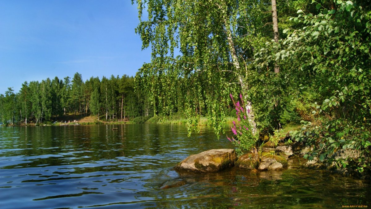 Озеро Березовое Березово