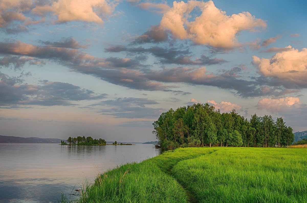 Природа река Волга