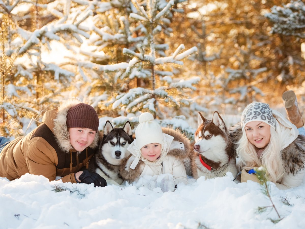 Семейная фотосессия с хаски зимой