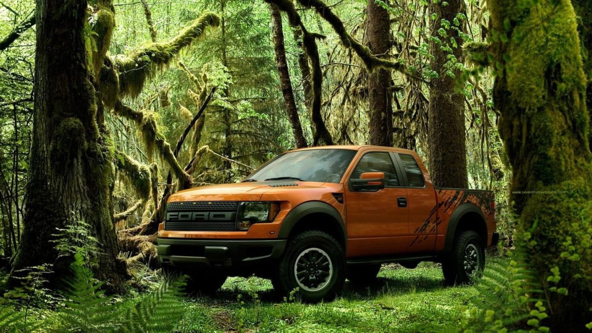 Ford f 150 Raptor в лесу