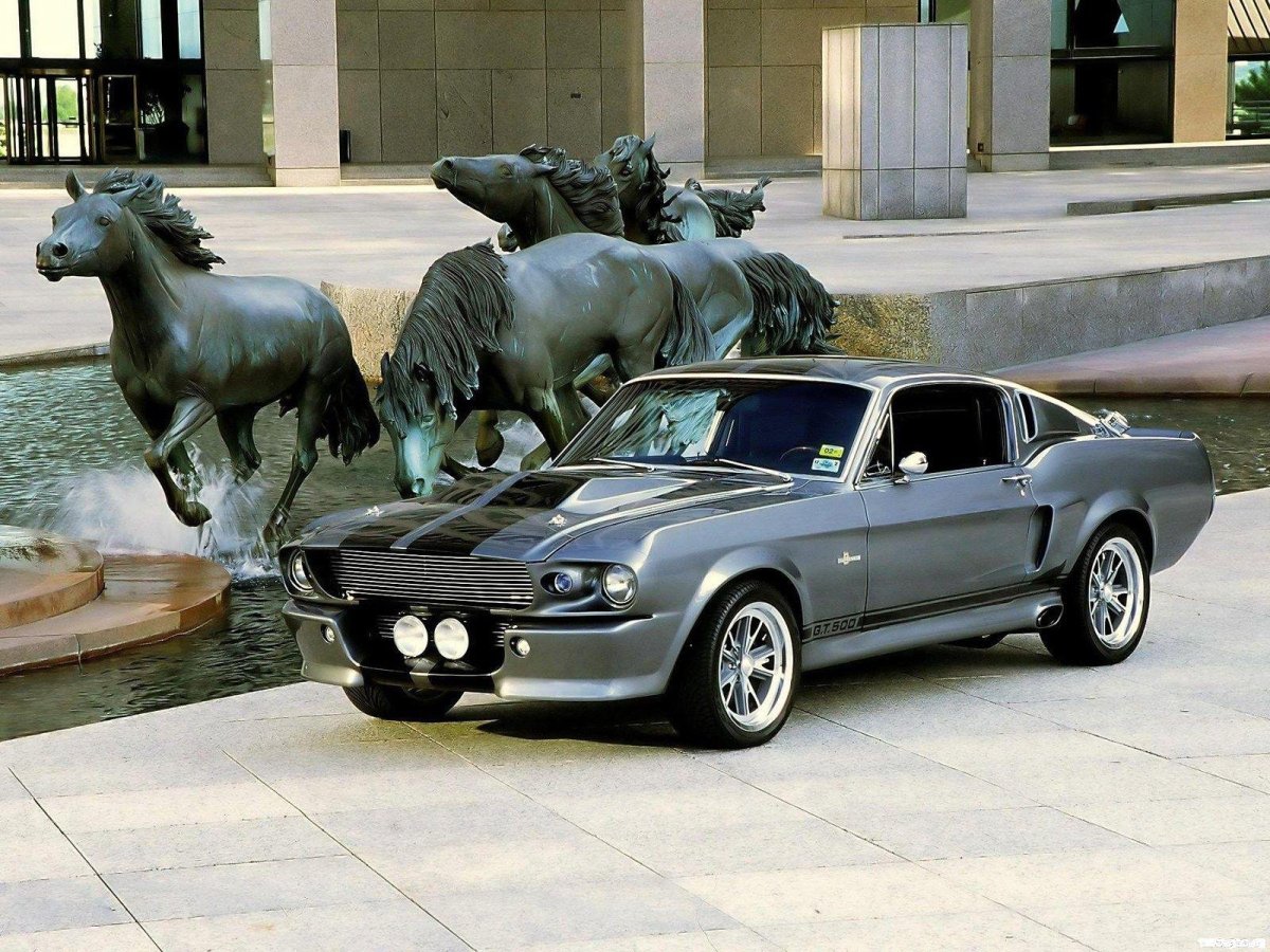 Форд Мустанг Shelby gt 500 Horse