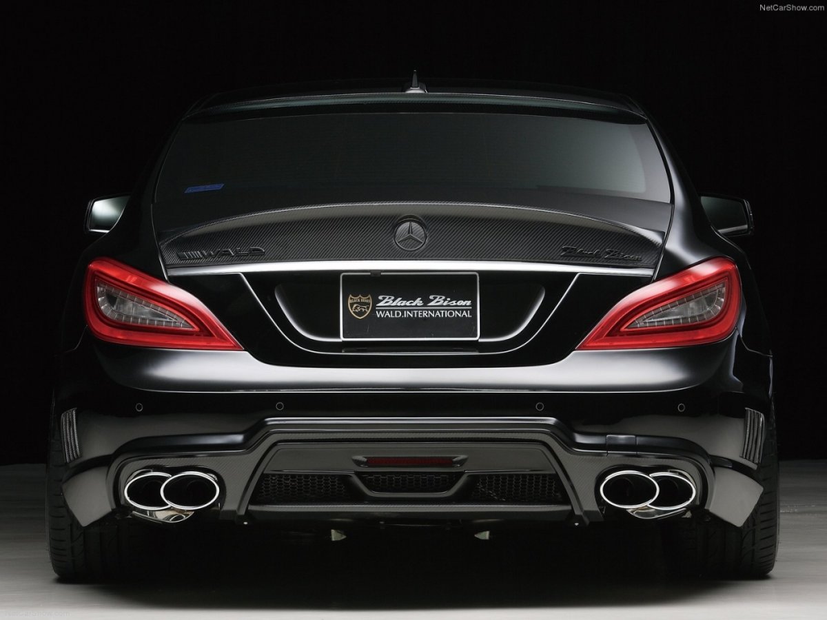 Mercedes CLS 218 Wald Black Bison