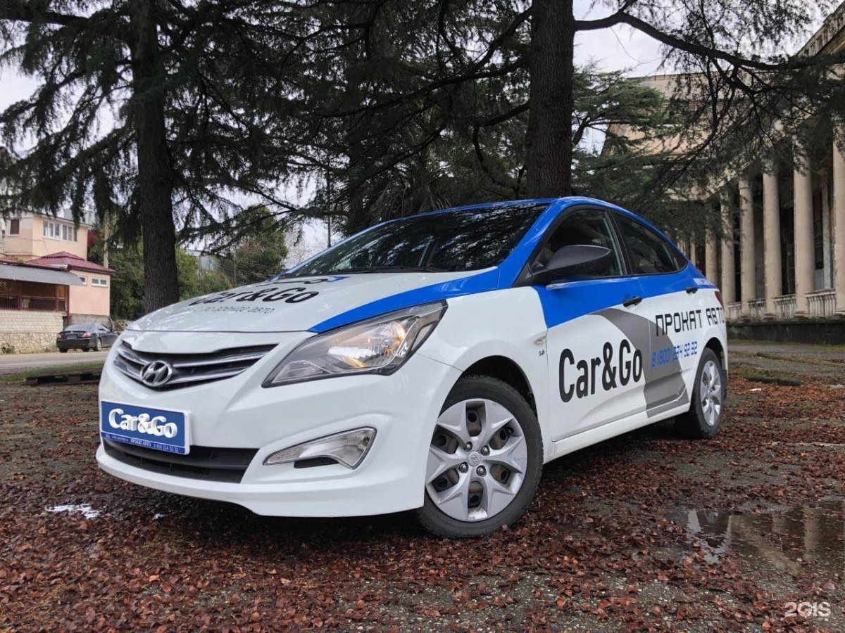 Car go транспортная компания