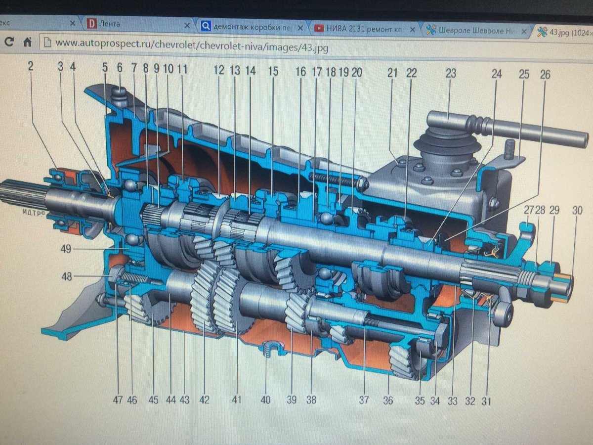 Коробка передач Шеви Нива 5 ступка схема