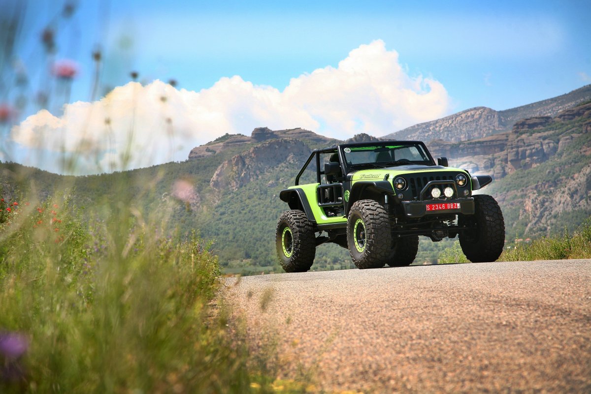 2016 Jeep Trailcat