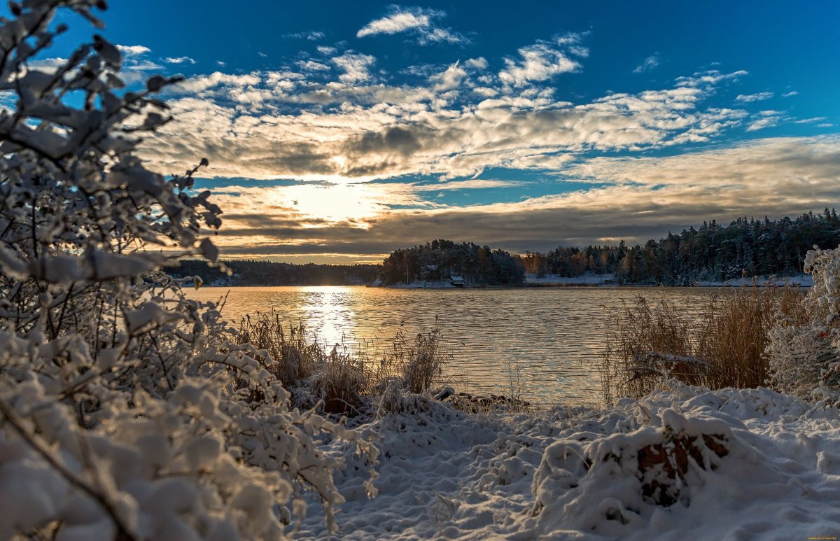 Озеро Сенеж зимой