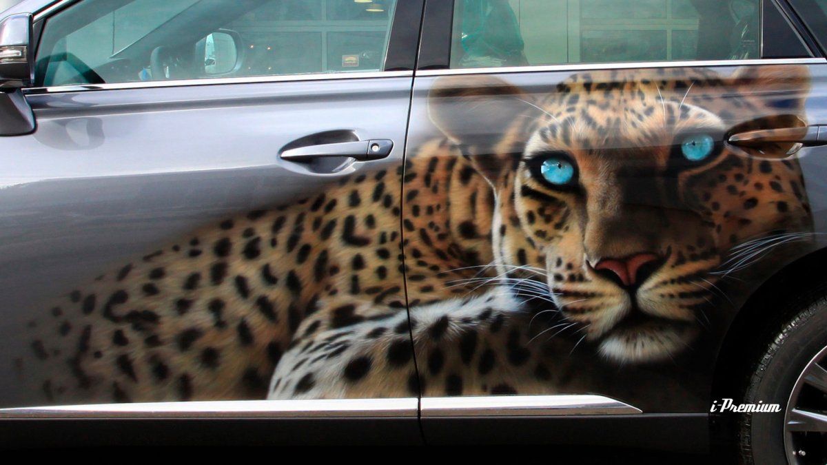 Леопард на авто