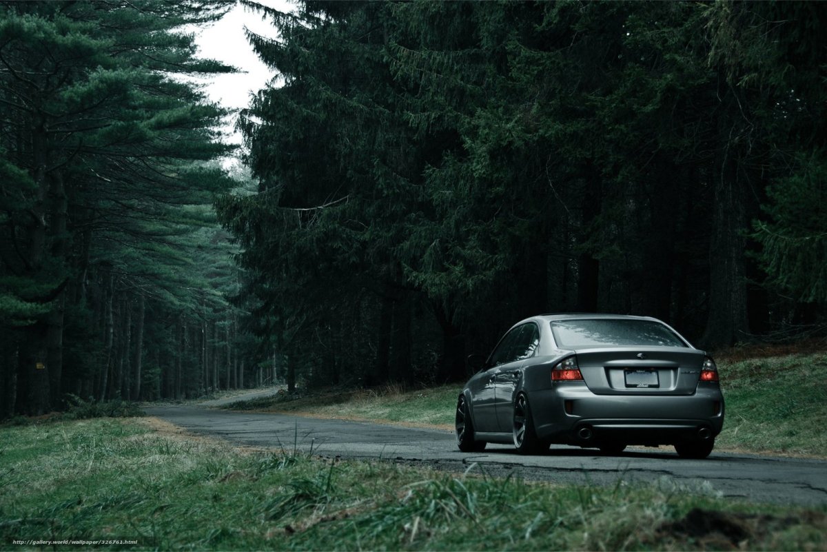 Машина едет через лес