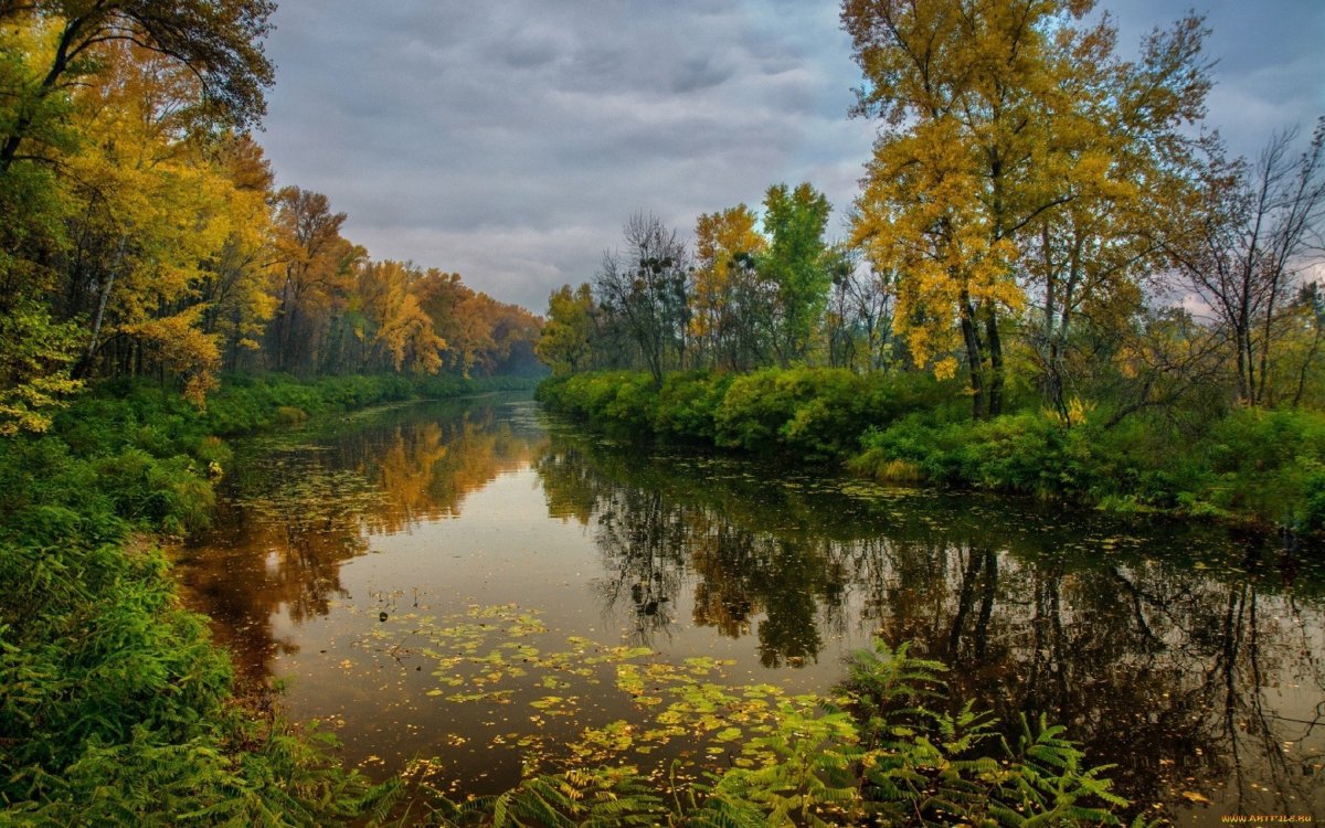 Река осень Тверская область