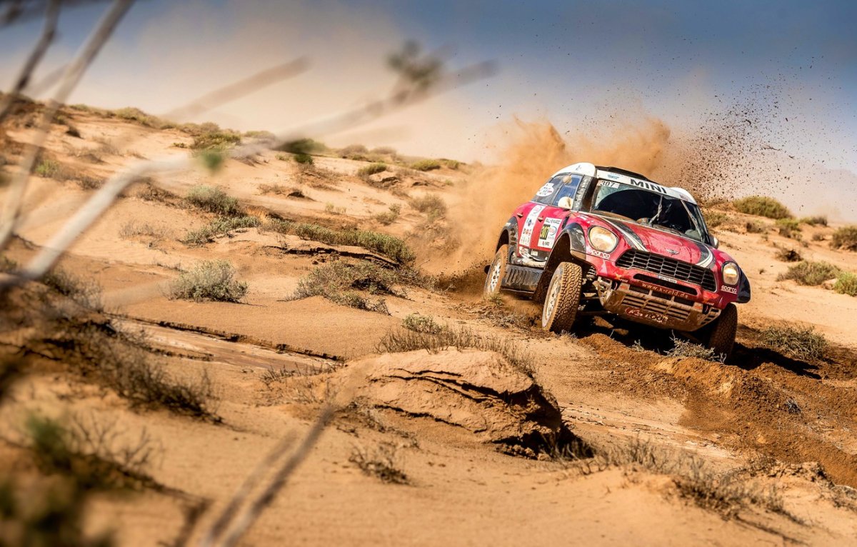 Rally Raid Cage Wallpaper