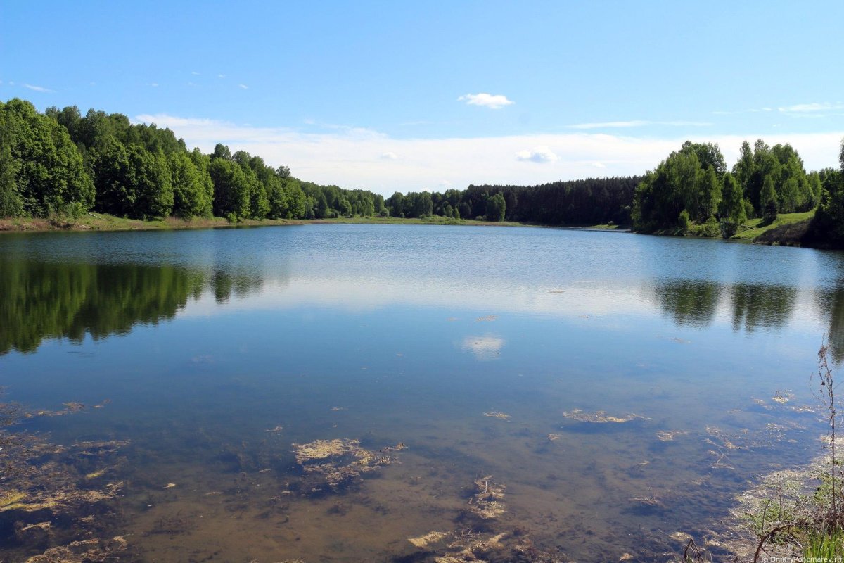 Озеро ключик Ворсма Павловского района