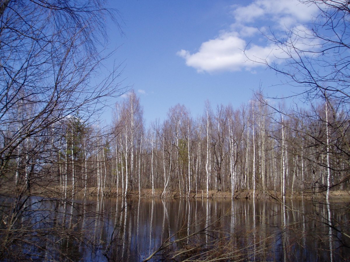 Озеро весной