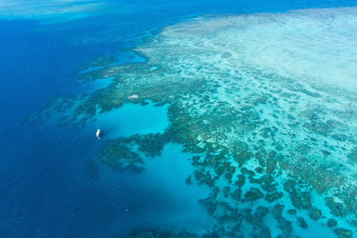 Большой Барьерный риф сверху