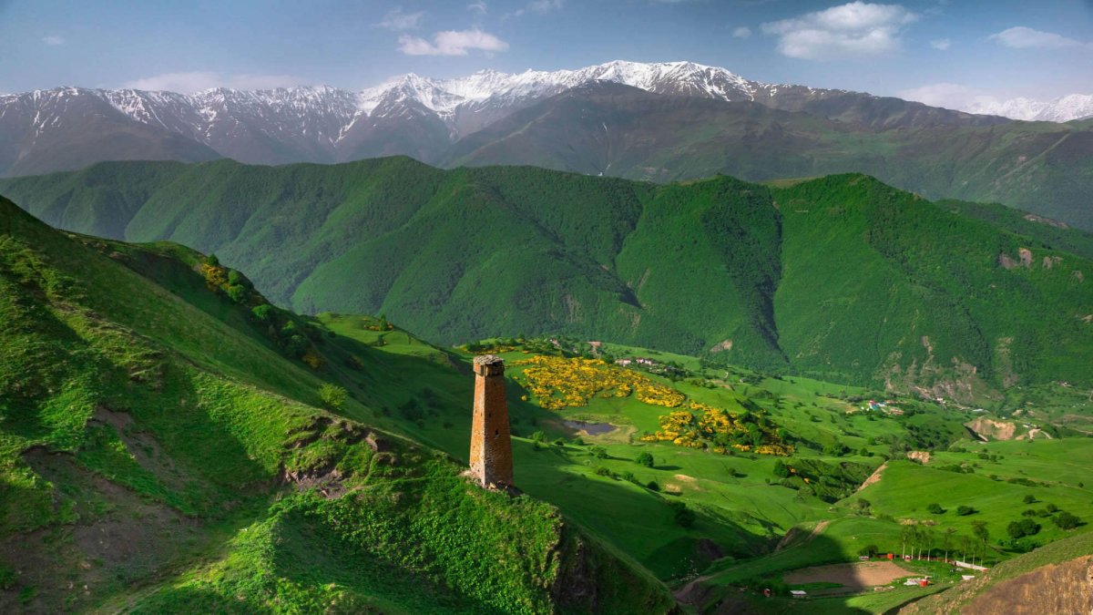 Фон горы Чечни Терти