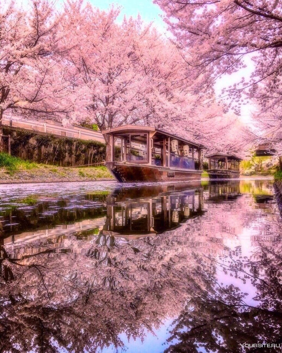 Киото Япония