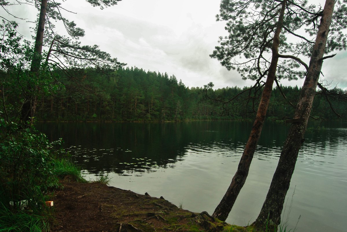 Озеро Тросно Полоцкого района