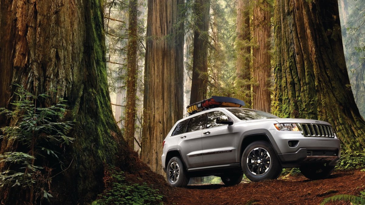 Jeep Grand Cherokee в лесу