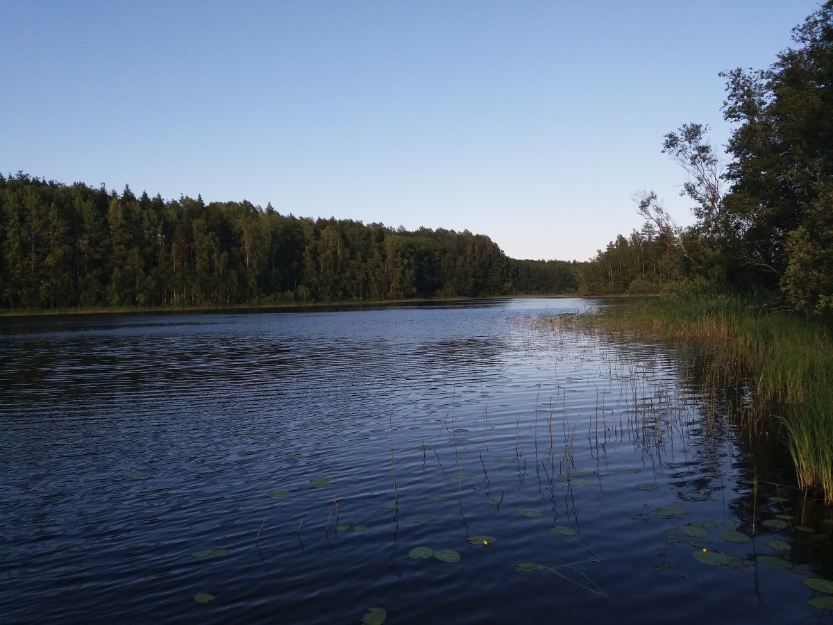 Леонтьевское озеро Костромская область