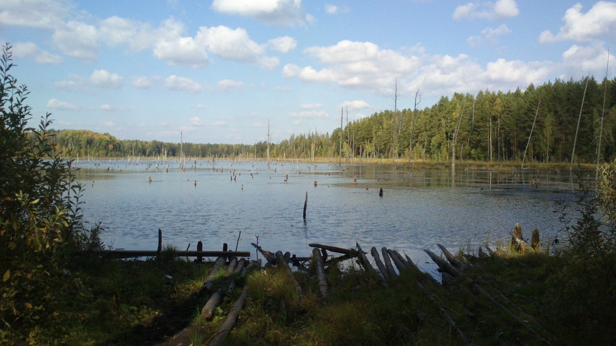 Торсуновское озеро Очерский район
