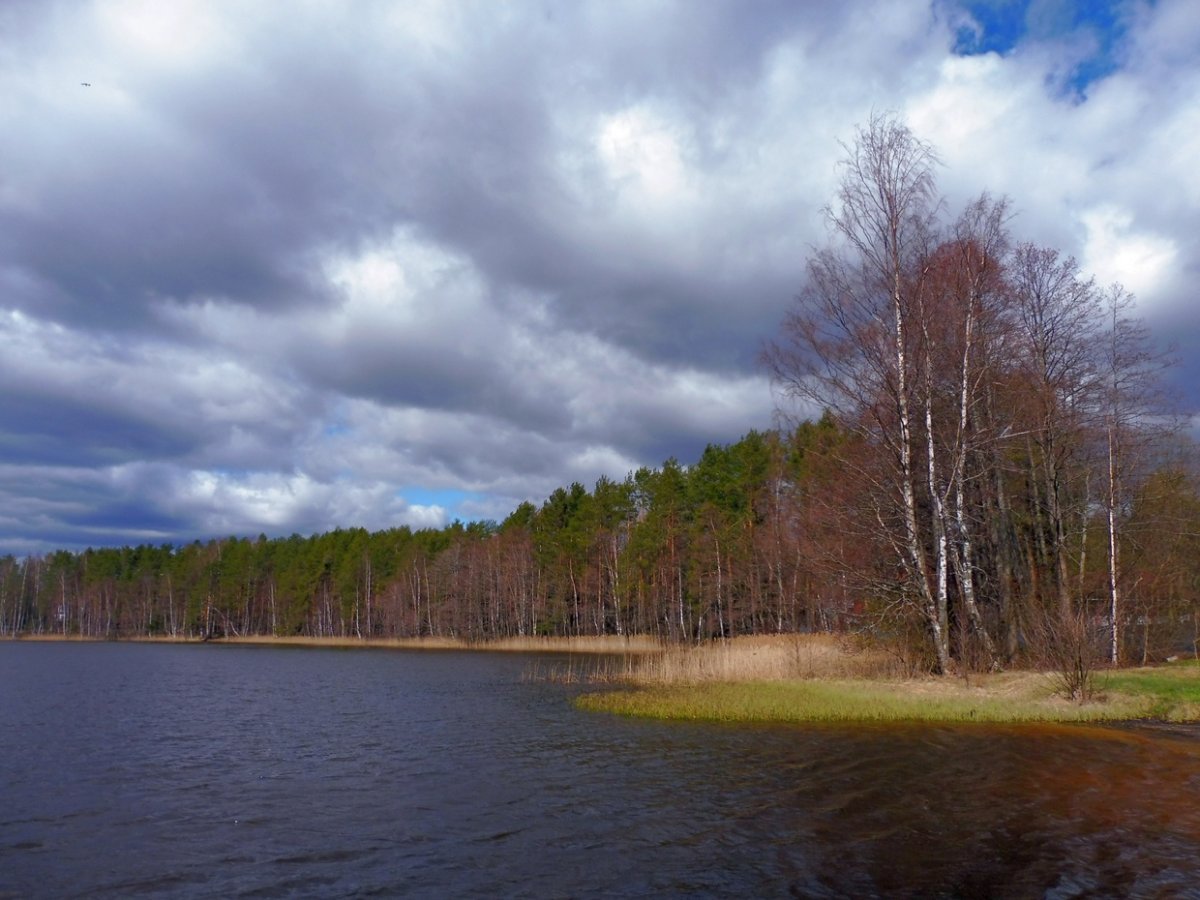 Борково озеро Ленинградская область