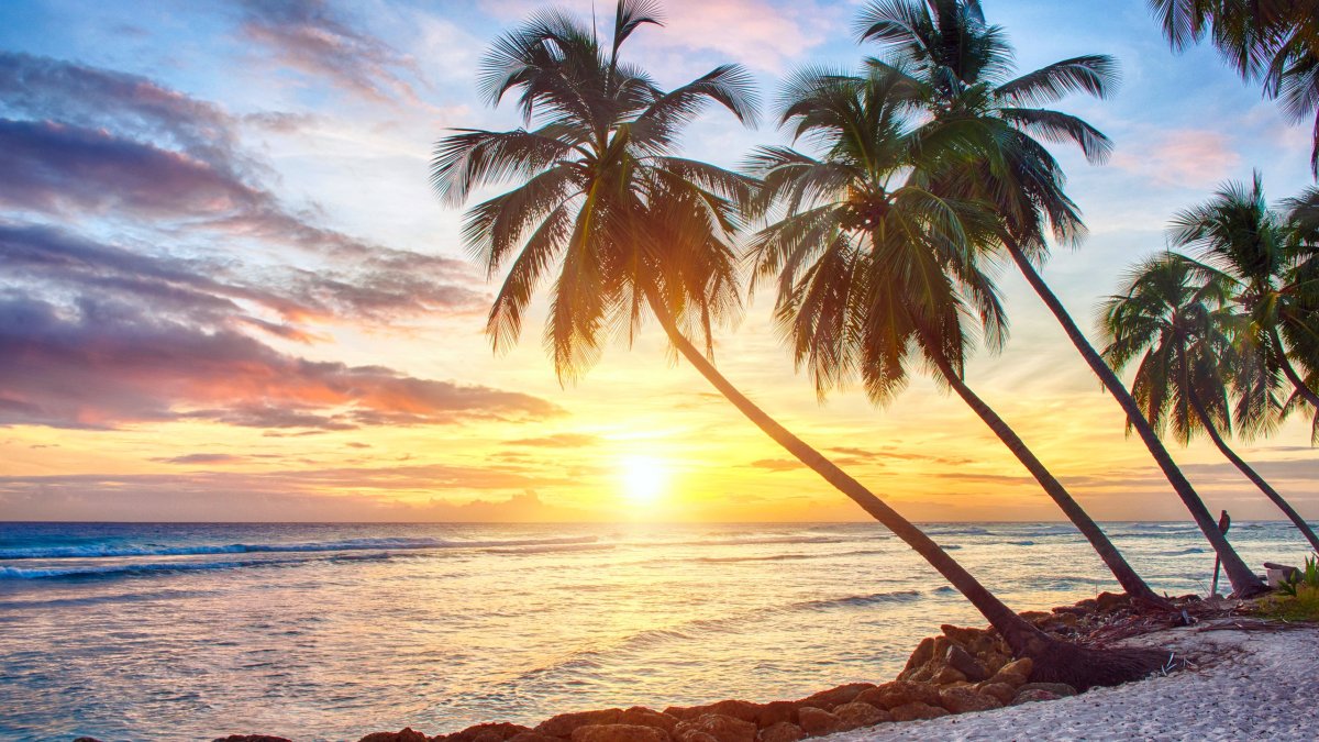 Море солнце пальмы