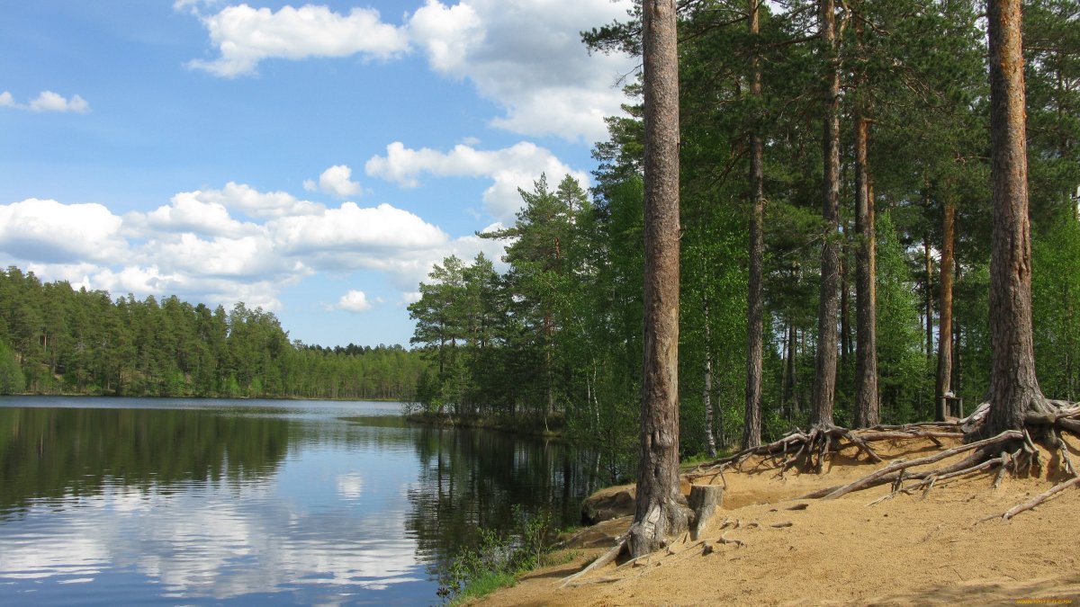 Озеро Сосновое