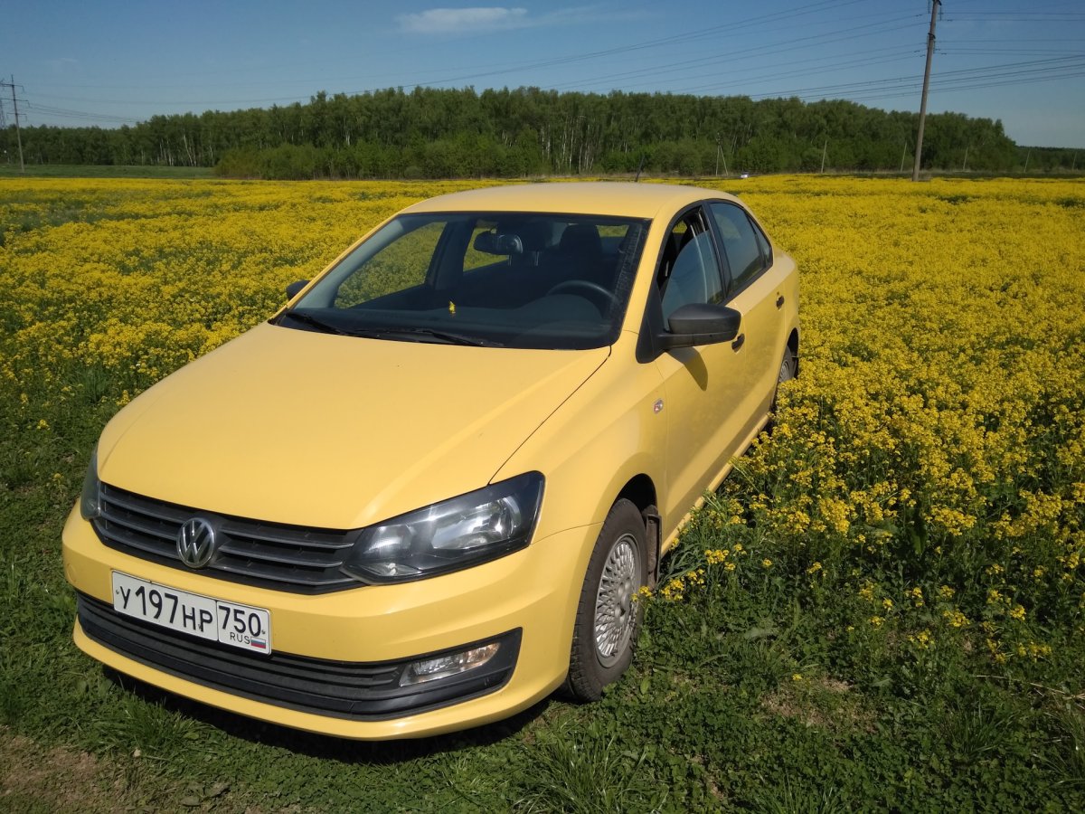 Volkswagen желтый. Фольксваген поло 2016 жёлтая. Volkswagen Polo sedan жёлтый. Желтый поло седан 2017 Фольксваген. Volkswagen Polo 2016 желтая.