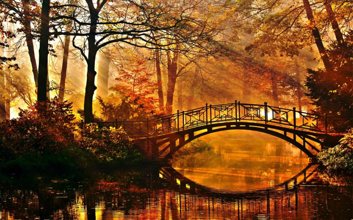 Осень парк река мост