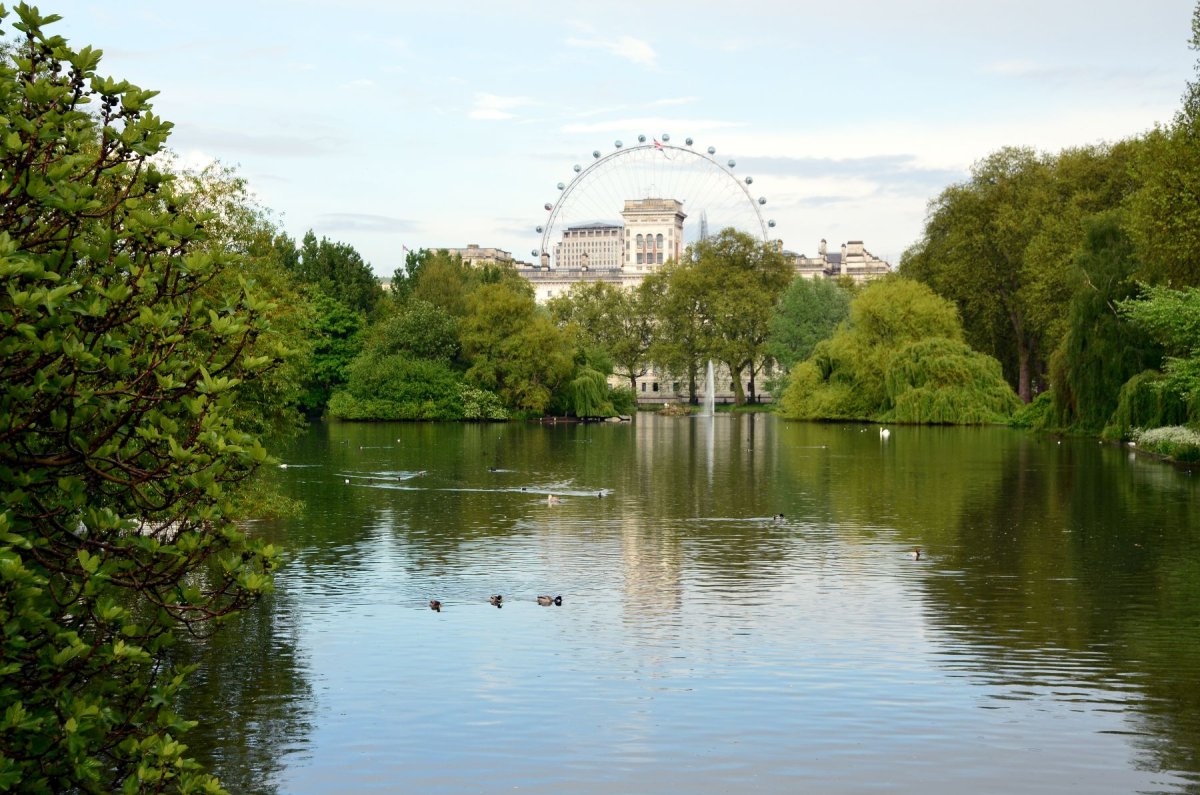Сент Джеймс парк в Лондоне