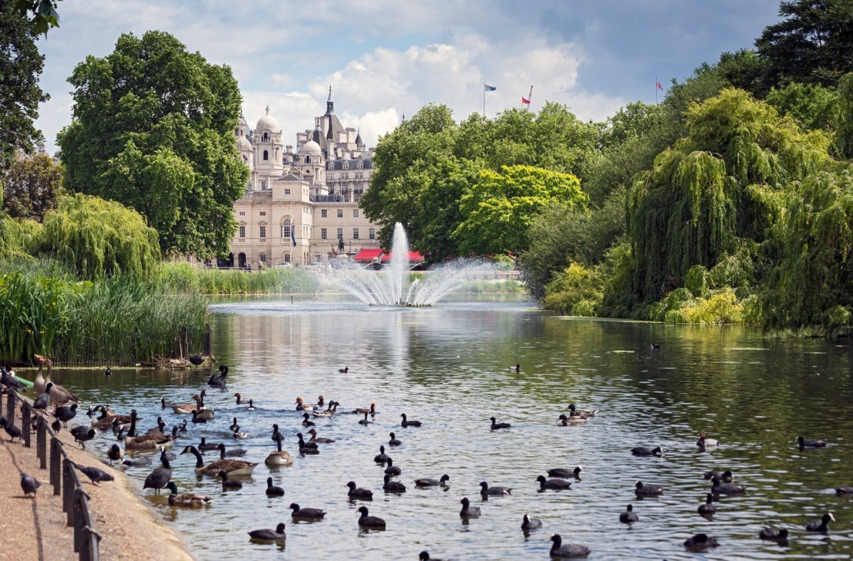 Сент-Джеймсский парк в Лондоне