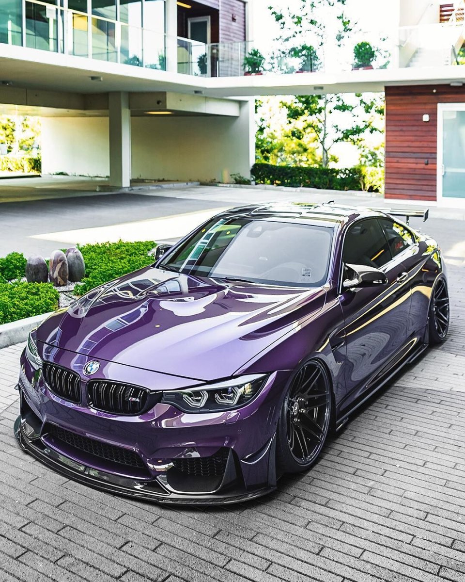 Space Ghost Purp BMW 2