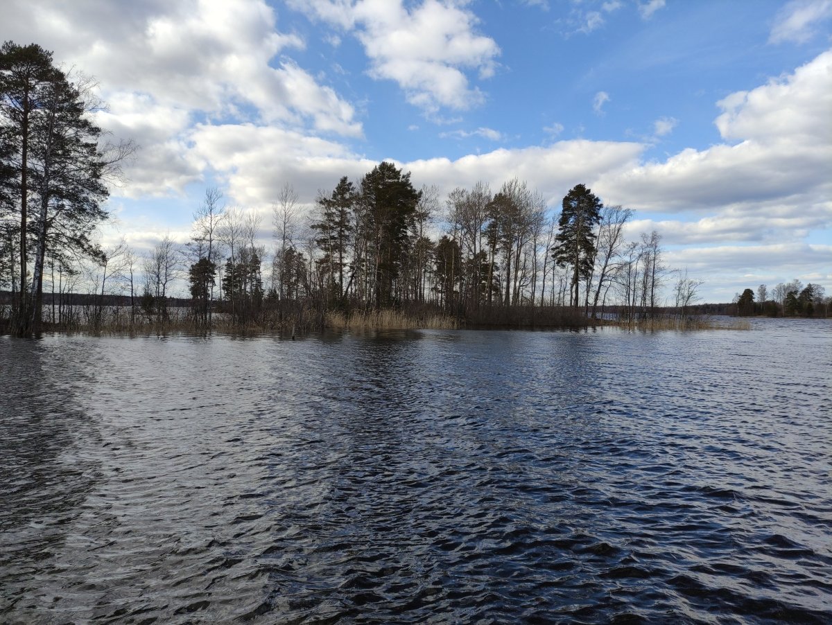 Озеро большая Вуокса лето отдых 2022 года