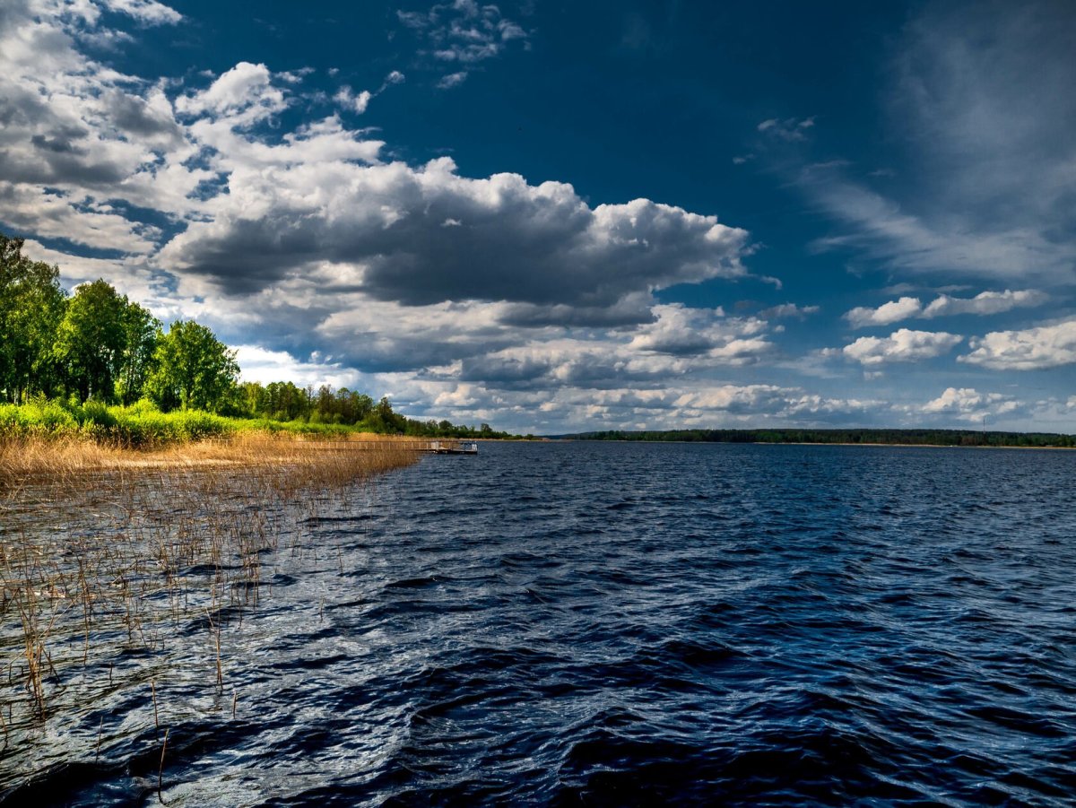 Суходольское озеро Ленинградская область