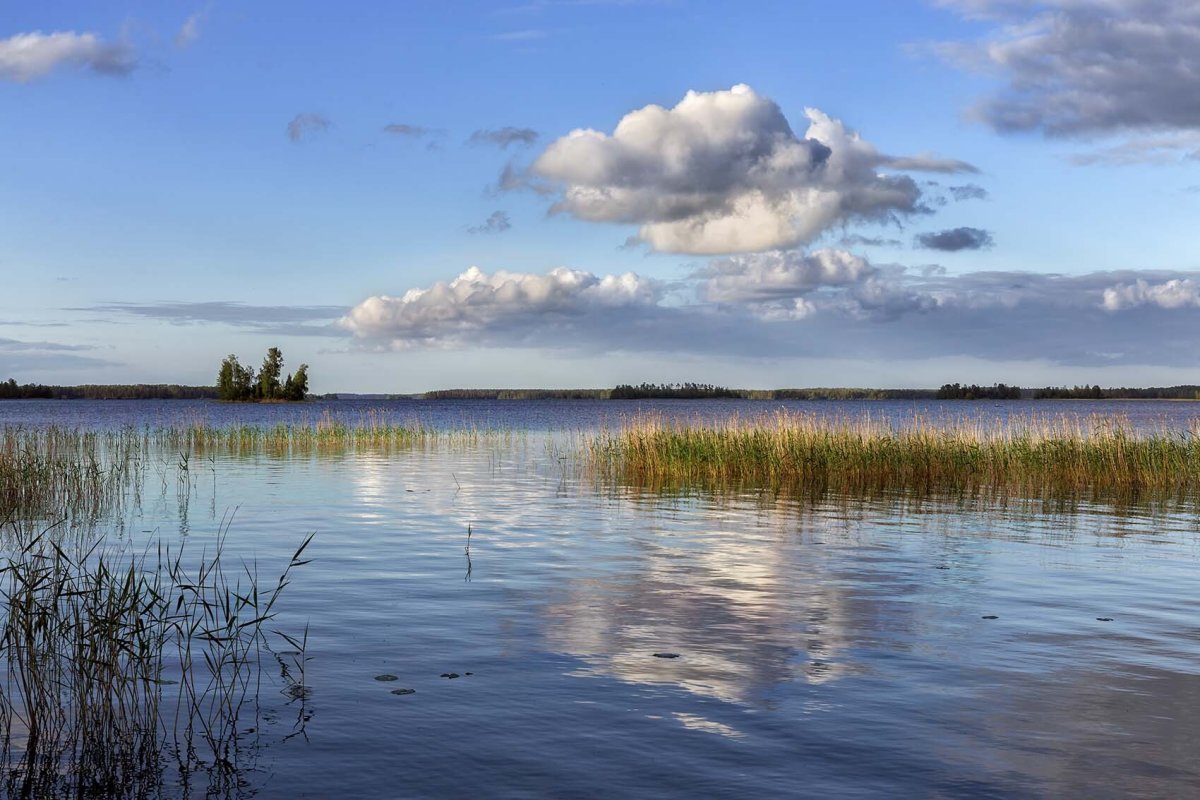 Озеро Коммунаров Карелия