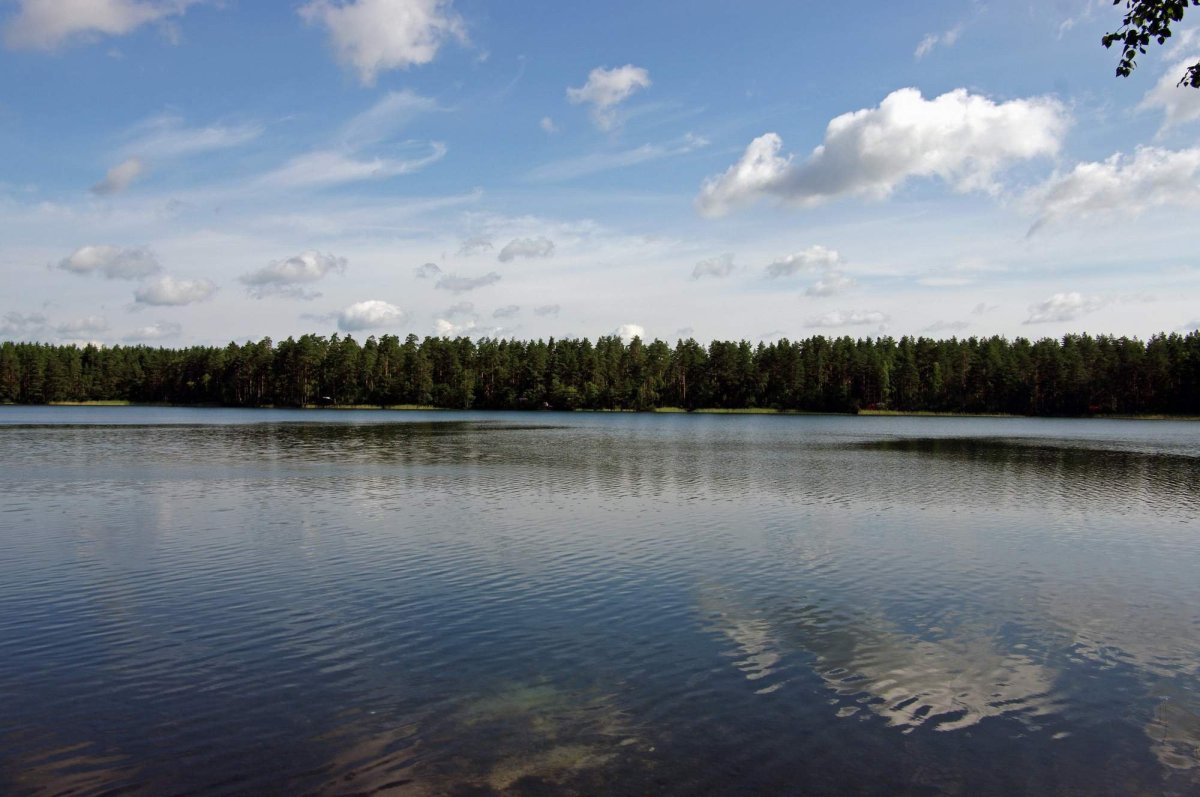Озеро Комонь Ленинградская область