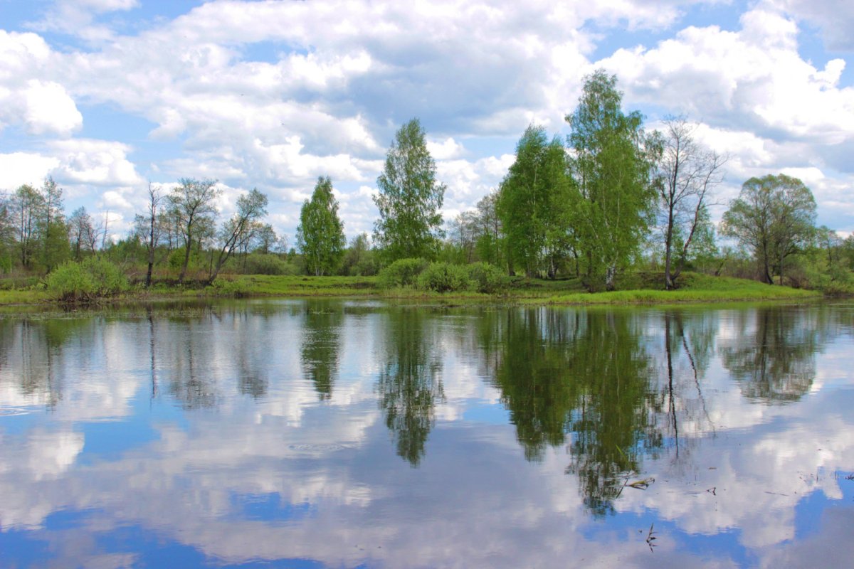 Золотово озеро Белоозерск